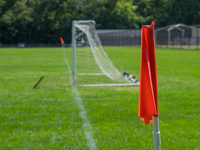 还需要融入 还需要融入