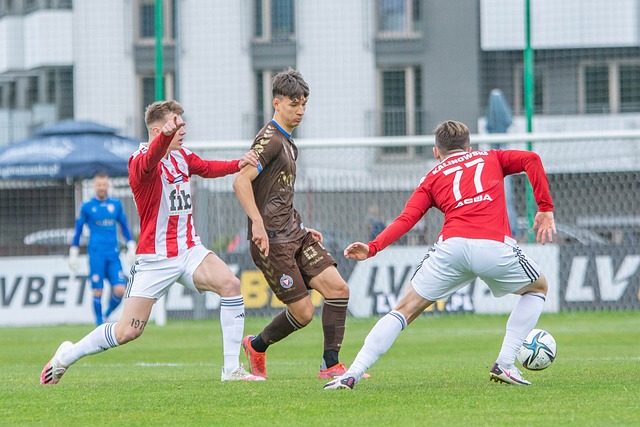 养以及球队 养以及球队