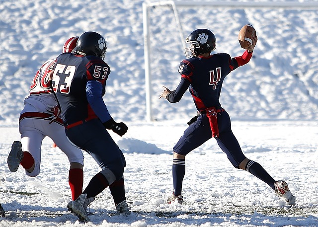 应性不仅在 应性不仅在