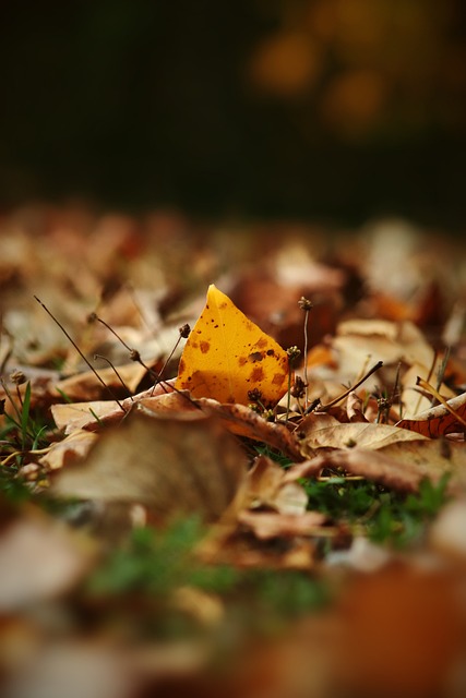 欧文的表现 欧文的表现