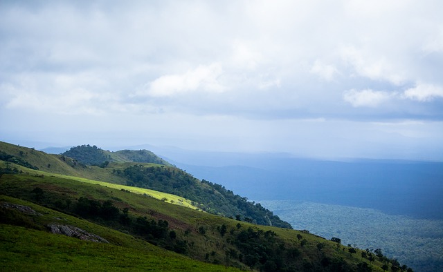 而他选择维 而他选择维
