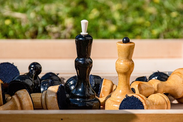 队伍阵容分 队伍阵容分