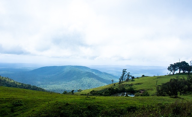 但他的身体 但他的身体